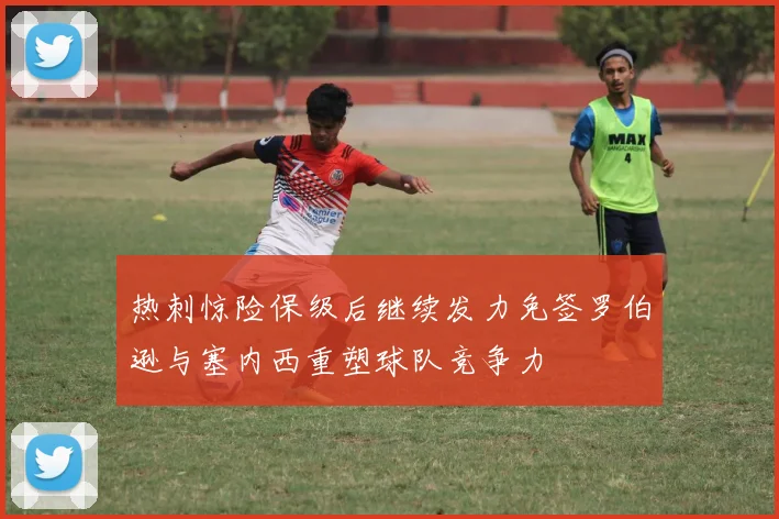 热刺惊险保级后继续发力免签罗伯逊与塞内西重塑球队竞争力