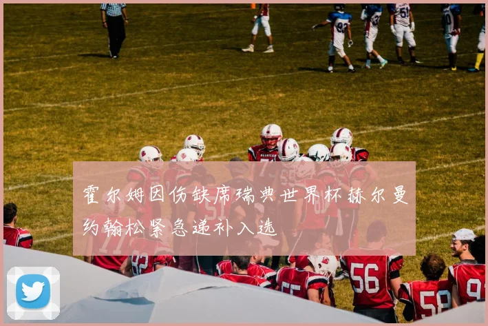 霍尔姆因伤缺席瑞典世界杯赫尔曼约翰松紧急递补入选