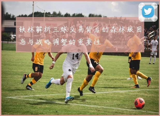 铁林解析三球交易背后的森林狼困惑与战略调整的重要性